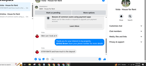 viola.png