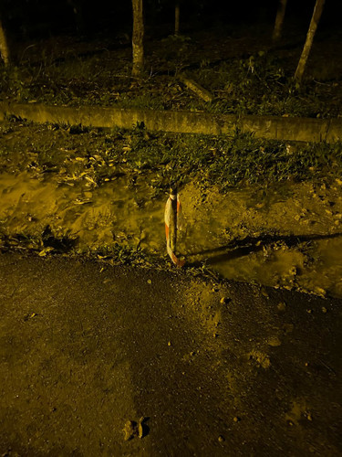 WhatsApp Image 2025 03 27 at 11.05.22.jpg