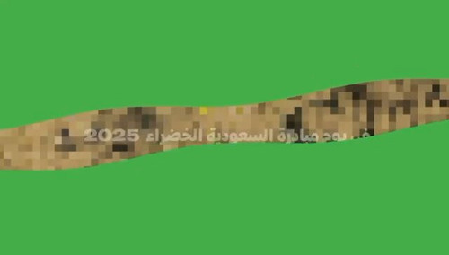 XqXmjXqJTFdebS q.jpg