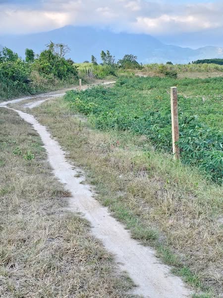 486841682 4256839144599308 6574897028773201535 n.jpg