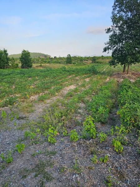 486647544 4256839124599310 3983991290911525172 n.jpg