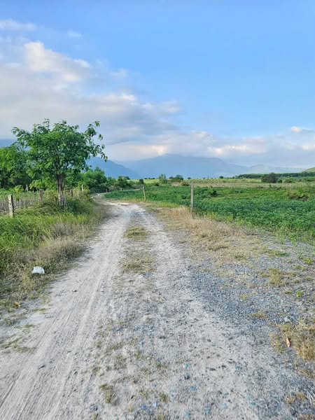 486636645 4256839044599318 2724548111311910174 n.jpg