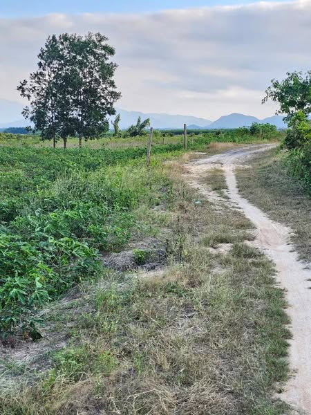 486704046 4256839197932636 6008122207017292730 n.jpg