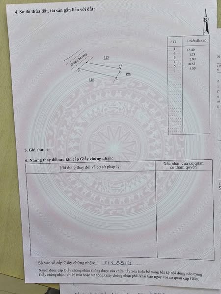 487234709 4256813977935158 2680339835515080759 n.jpg