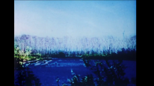 vlcsnap 2025 03 27 12h08m47s734.png