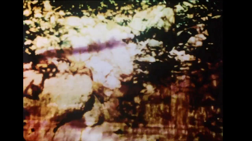 vlcsnap 2025 03 27 12h10m59s377.png