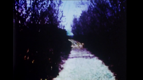 vlcsnap 2025 03 27 12h09m55s191.png