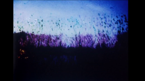 vlcsnap 2025 03 27 12h09m30s148.png