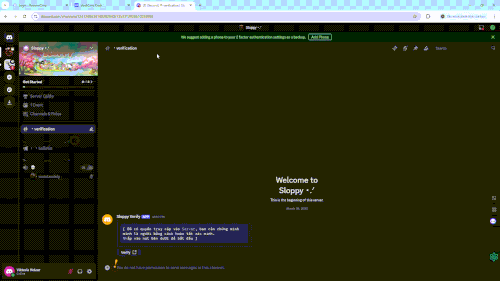 (7) Discord ・verification Sloppy ⭑.ᐟ Google Chrome 2025 03 26 12 32 41.gif