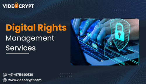 digital rights management services.jpg