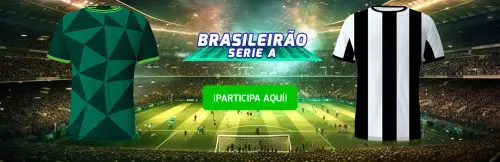 BRASIL PALMEIRAS VS BOTAFOGO.webp
