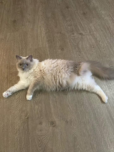 487172072 10231758373040805 3552019939709439825 n.jpg