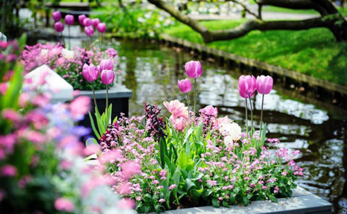 EwRKVFBk0RJh95rJ H2EP5 HH5c 1 j6JlQOwmWDx6J2EZ86zn240dmYWrmeOglaToF1R2rBmnrX3ujsqD5bPfTqZ4DsRsIOwVgT.jpg