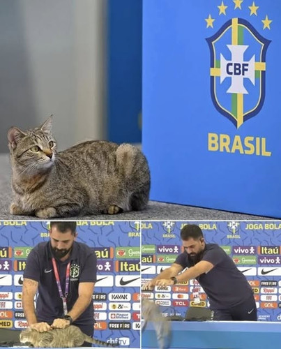 486506220 958937739786111 8536556836907890300 n.jpg?stp=cp6 dst jpg s640x640 tt6& nc cat=110&ccb=1 7.jpg