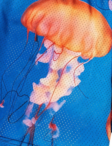 BJH (6).jpg