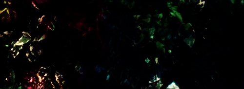 vlcsnap 2025 03 27 16h13m35s573.png