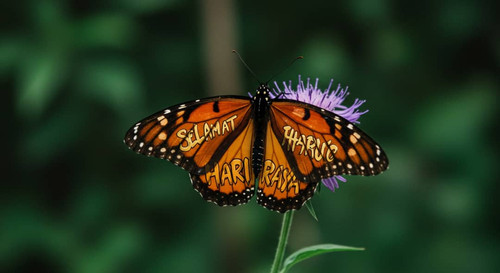 IMG 20250327 WA0171.jpg