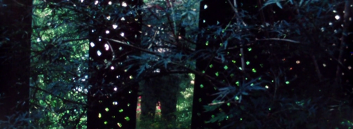 vlcsnap 2025 03 27 16h13m00s618.png