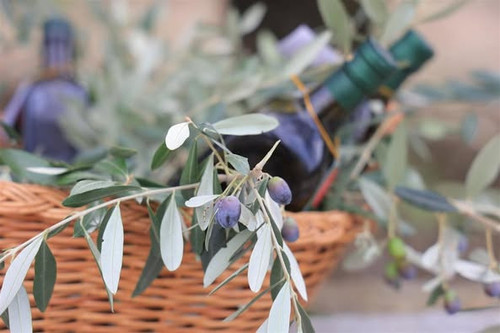 487057585 978958994325623 1772555936606374038 n.jpg?stp=dst jpg p526x395 tt6& nc cat=105&ccb=1 7& nc.jpg