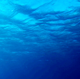 water 75.gif