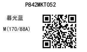 2025 03 27 13 34 24 8411a0c655a17430536611963840e0110 page 0033.jpg