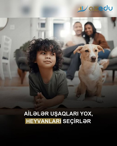 486259455 18297461809240371 6227501519451868657 n.jpg?stp=dst jpg s640x640 tt6& nc cat=111&ccb=1 7& .jpg