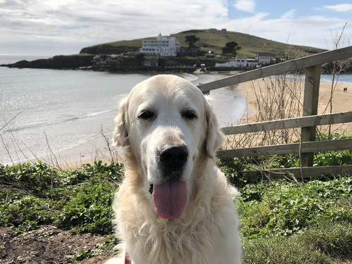 Gm9K9rYXoAAluHy.jpg