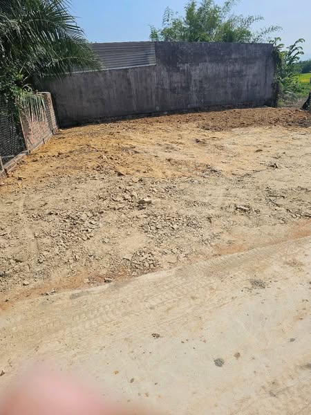 486270701 122147074538556963 5728480779344829955 n.jpg