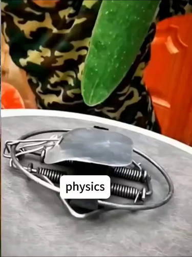 Bq sML0xbLSnv4fr.jpg