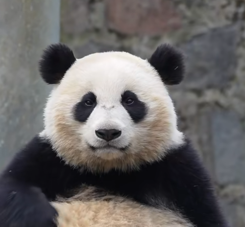 Screenshot 2025 0328 110436.png