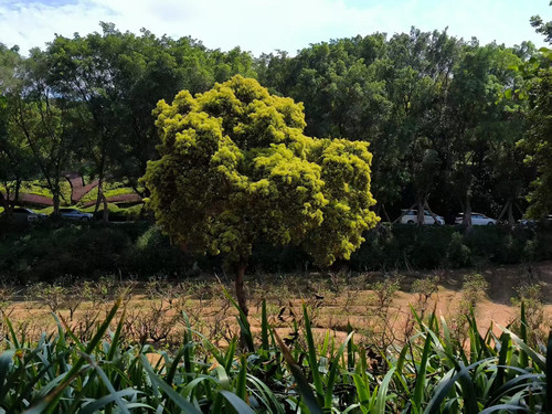 微信图片 20250326165240.jpg