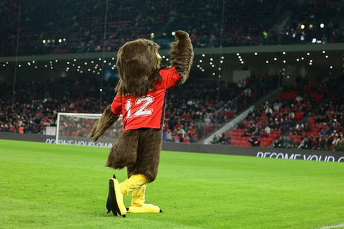 486766992 18475910062064803 2073132061209208971 n.jpg?stp=dst jpg p526x395 tt6& nc cat=103&ccb=1 7& .jpg