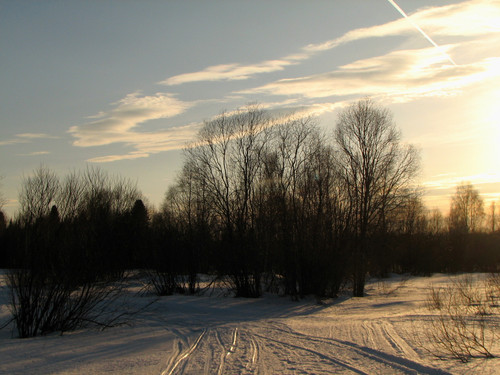 IMG 0473 1.jpg