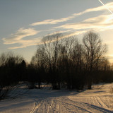 IMG 0473 1