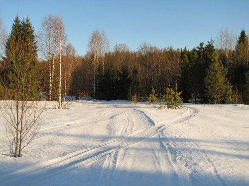 IMG 0433 1.jpg