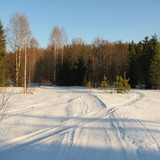 IMG 0433 1