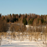 IMG 0412 1