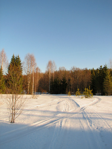 IMG 0437 1.jpg