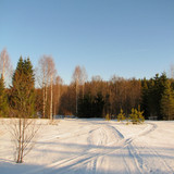 IMG 0437 1
