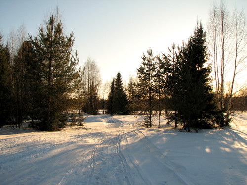IMG 0441 1.jpg