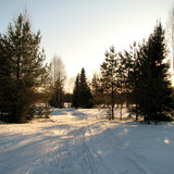 IMG 0441 1