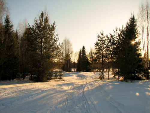 IMG 0446 1.jpg