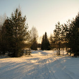 IMG 0446 1