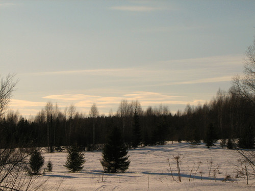 IMG 0454 1.jpg