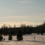 IMG 0454 1