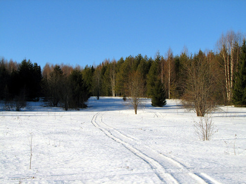 IMG 0419 1.jpg