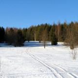IMG 0419 1