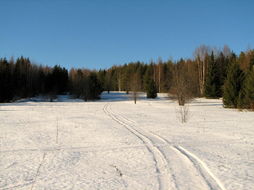 IMG 0420 1.jpg
