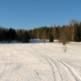 IMG 0420 1