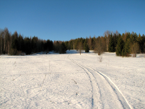 IMG 0423 1.jpg